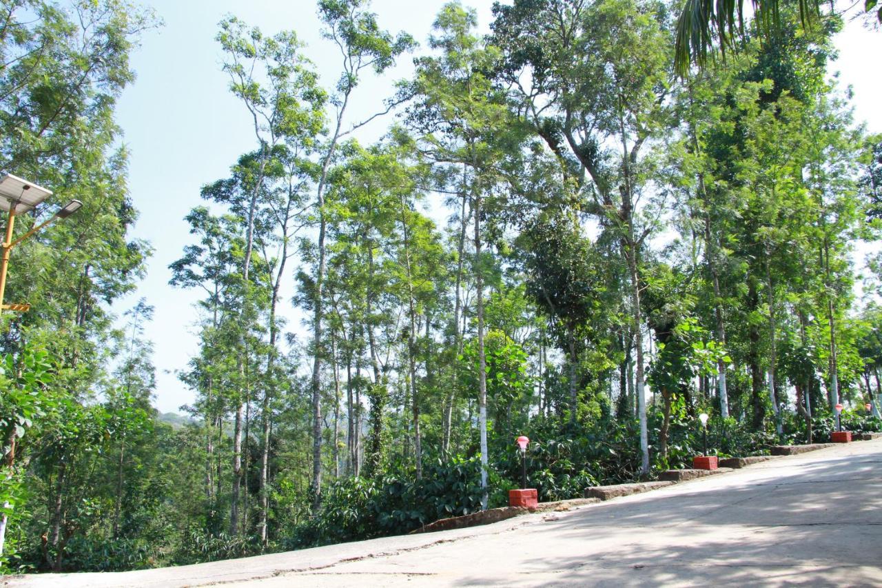 Kingmaker'S Plantation With River Stream Madikeri Buitenkant foto