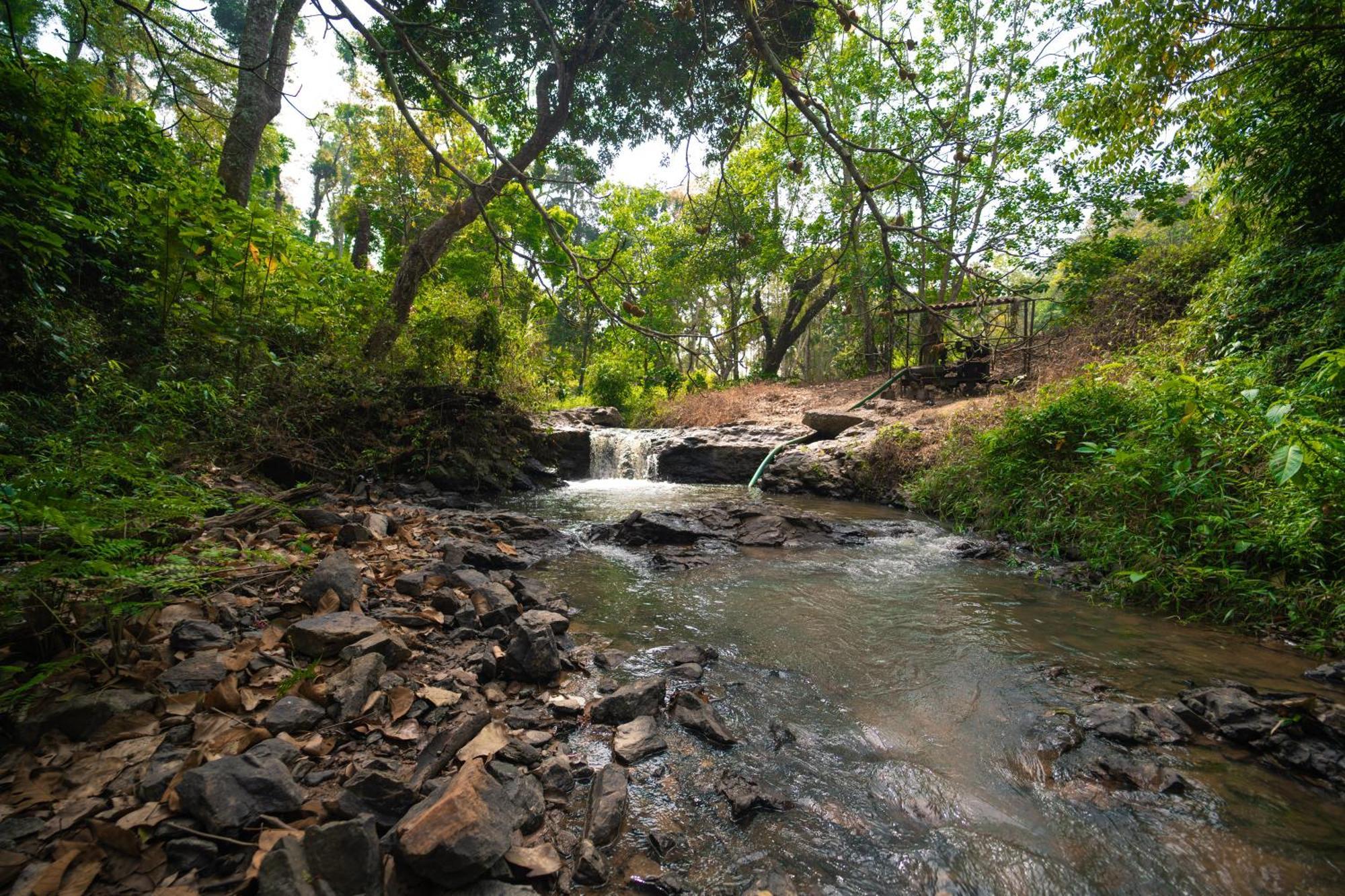 Kingmaker'S Plantation With River Stream Madikeri Buitenkant foto