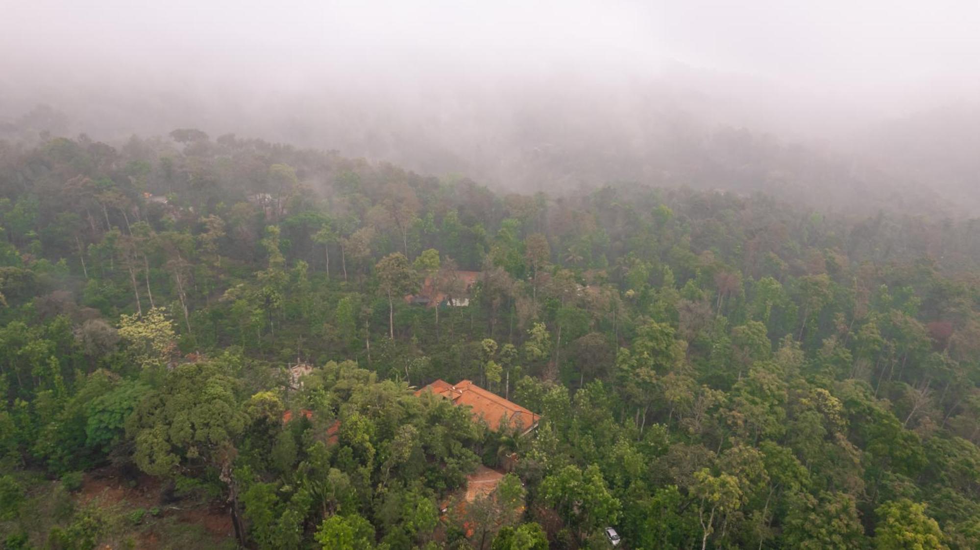 Kingmaker'S Plantation With River Stream Madikeri Buitenkant foto